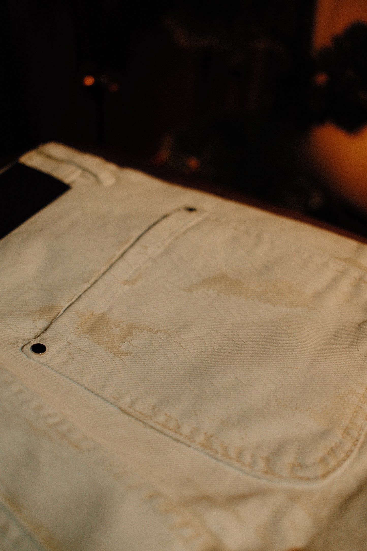Painted Carpenter Canvas Pants | Sandstone
